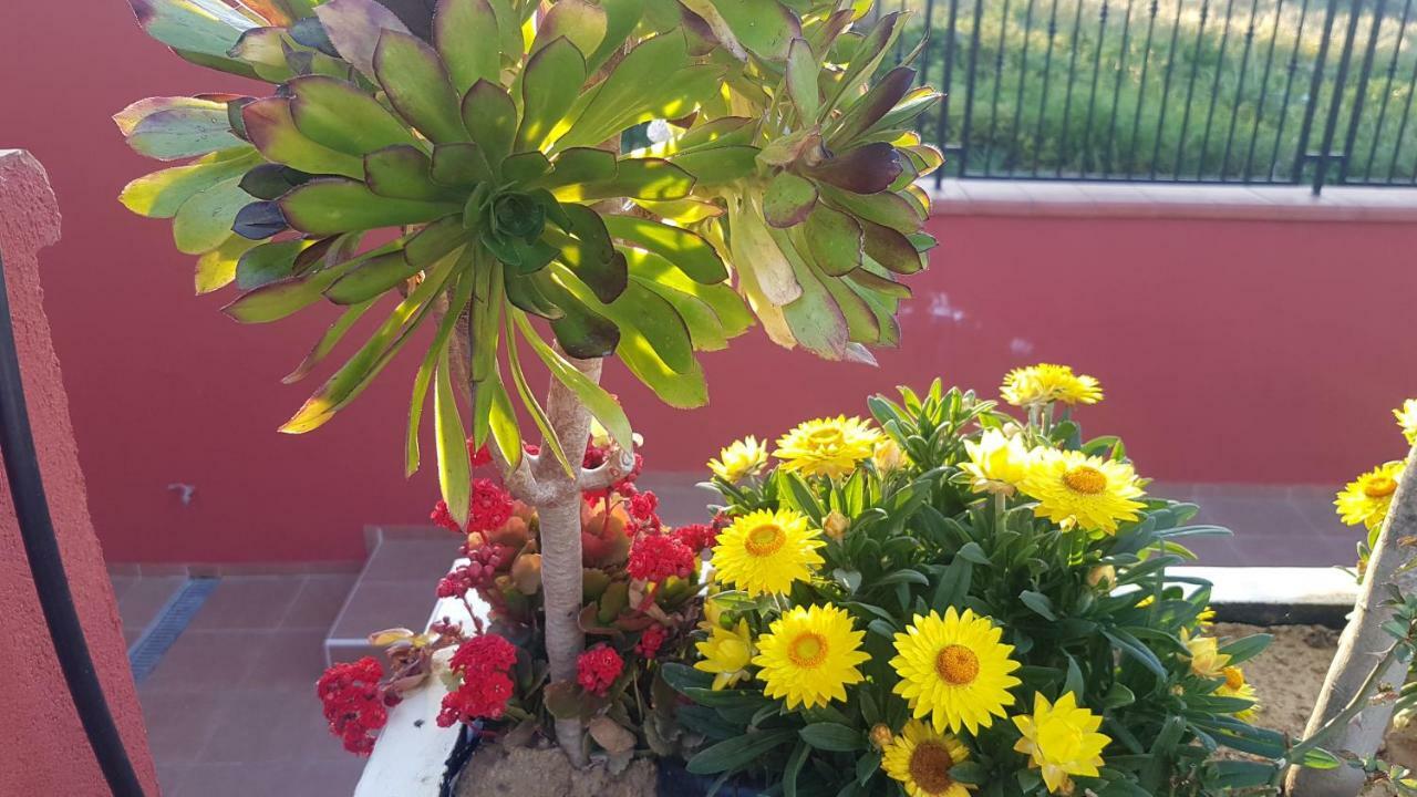Lilium In B&B Gela Exterior photo